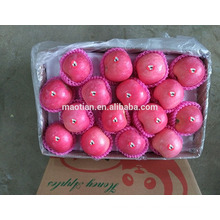 Alta calidad Fresh Red Fuji Apple